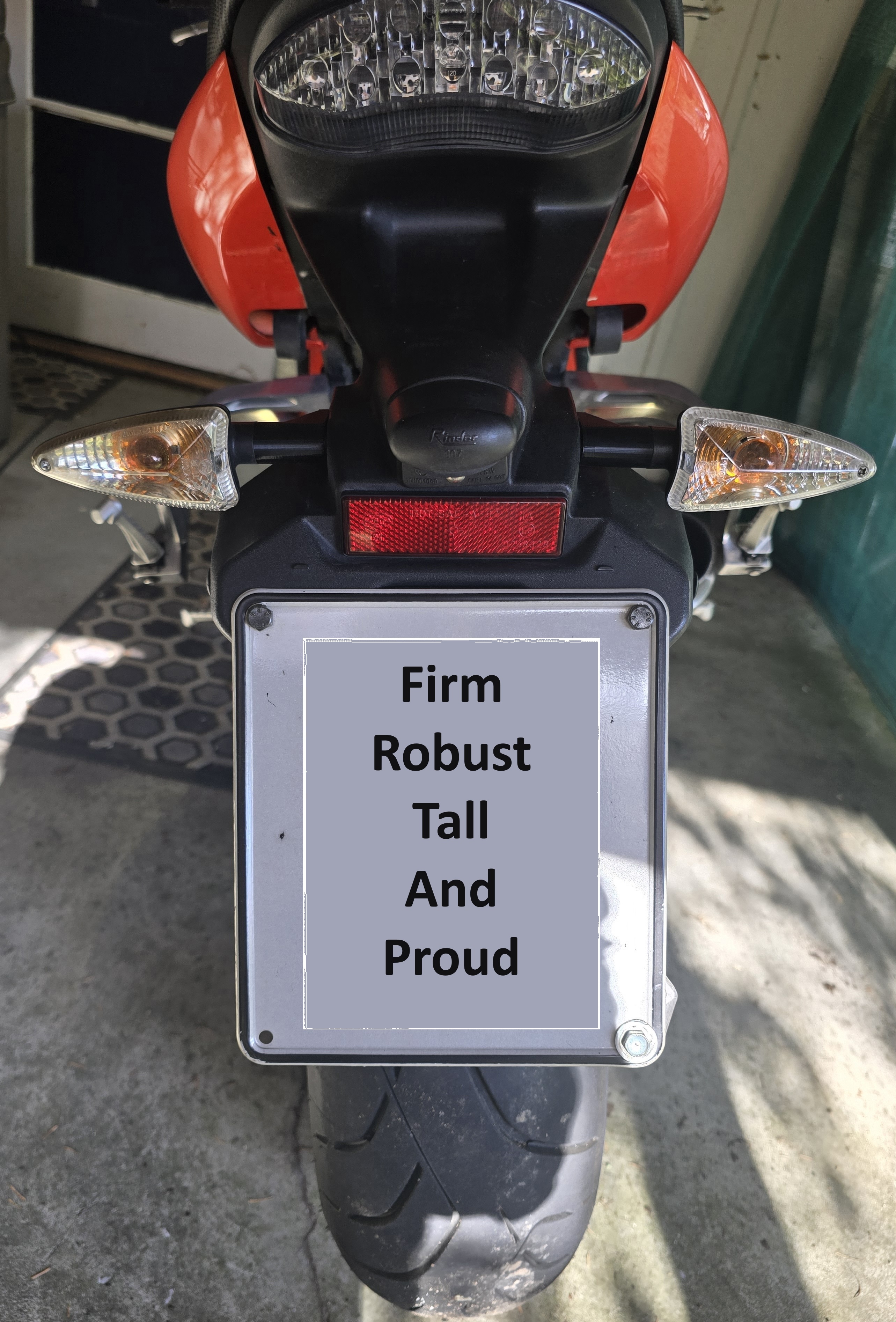 Triumph Speed Triple Indicator Brackets